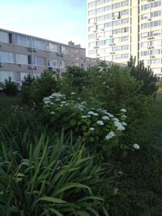 Апартаменты Апартаменты Променад аква Затока Апартаменты с 1 спальней-2